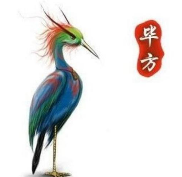 灭蒙鸟是什么鸟?灭蒙鸟吞噬山海经要害地