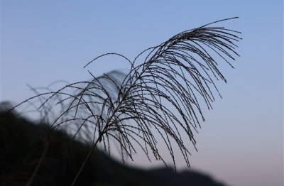 ​恢复正常生活的句子