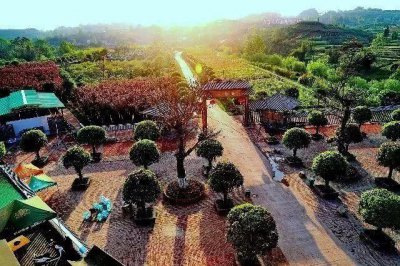 ​新西兰南岛的太极岛存在吗_太极形状的岛屿在哪里