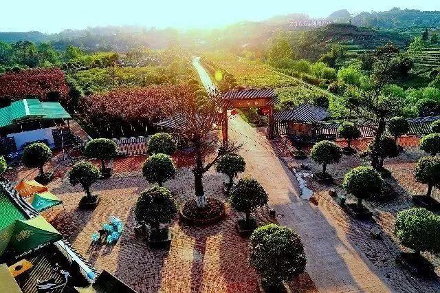 新西兰南岛的太极岛存在吗_太极形状的岛屿在哪里