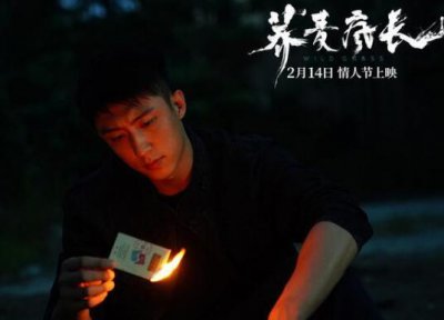 ​荞麦疯长是谁的小说异乡人的寻梦之旅格外艰难