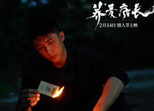 荞麦疯长是谁的小说 异乡人的寻梦之旅格外艰难