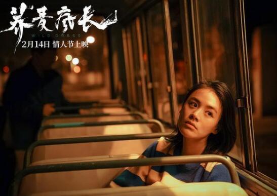 荞麦疯长是谁的小说 异乡人的寻梦之旅格外艰难
