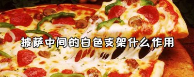 ​披萨中间的白色支架叫什么？有什么作用？