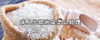 ​床上出现米虫的原因 床上出现米虫怎么处理