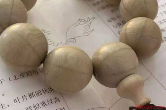 六道木是降龙木吗