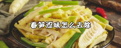​春笋涩味怎么去除？ 春笋怎么炒