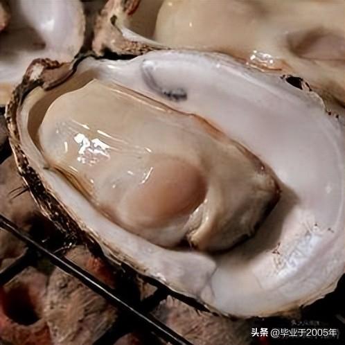 生蚝和海蛎子的区别图 明明白白说一说生蚝和海蛎子之间究竟是个什么关系(20)