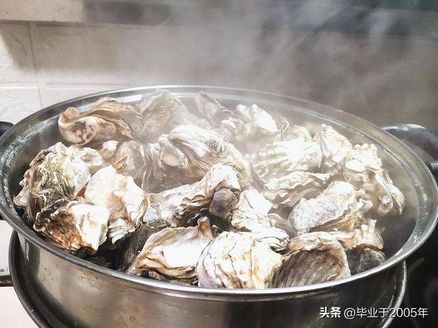生蚝和海蛎子的区别图 明明白白说一说生蚝和海蛎子之间究竟是个什么关系(18)