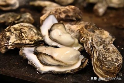 ​生蚝和海蛎子的区别图 明明白白说一说生蚝和海蛎子之间究竟是个什么关系