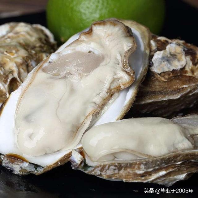 生蚝和海蛎子的区别图 明明白白说一说生蚝和海蛎子之间究竟是个什么关系(4)