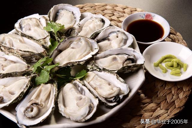 生蚝和海蛎子的区别图 明明白白说一说生蚝和海蛎子之间究竟是个什么关系(17)