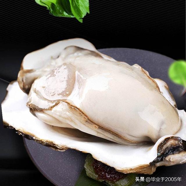 生蚝和海蛎子的区别图 明明白白说一说生蚝和海蛎子之间究竟是个什么关系(2)