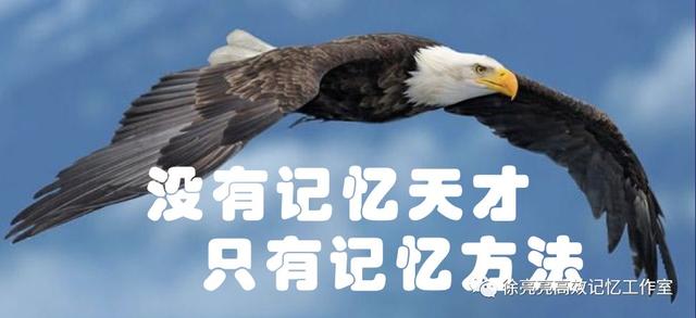 圆周率快速背法有什么规律呢（能背诵圆周率100位就是天才）(11)