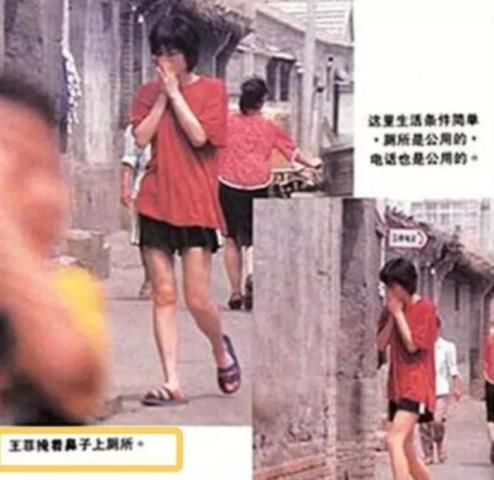 王菲是哪里人（北京女孩天后王菲的传奇之路）(10)