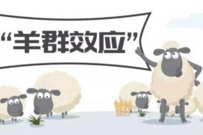 ​羊群效应生活中的例子有哪些?羊群效应告诉我们什么道理