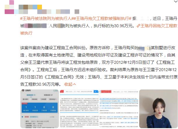 王珞丹拖欠工程款成被执行人（王珞丹因拖欠农民工工资）(5)