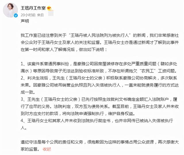 王珞丹拖欠工程款成被执行人（王珞丹因拖欠农民工工资）(7)