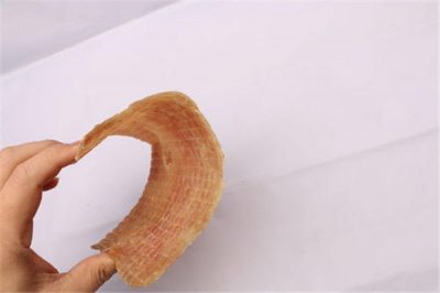 ​鳄鱼肉干的禁忌有哪些 吃鳄鱼肉干时候要注意什么