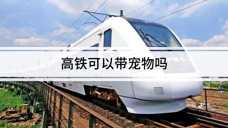 高铁可以带宠物吗，小狗可以上高铁吗