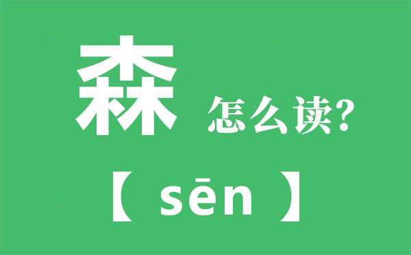 森组词组，森字能组什么词 
