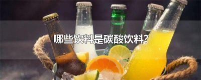 ​碳酸饮料有哪些（什么叫碳酸饮料）