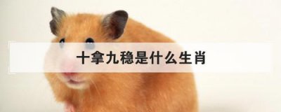 ​十拿九稳是什么生肖（十拿九稳解一个生肖）