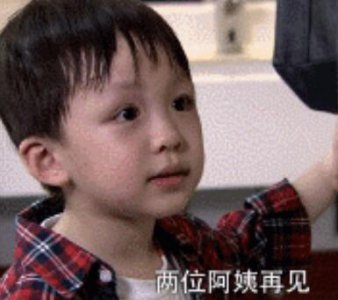 ​洪尚恩是洪世贤亲生的吗