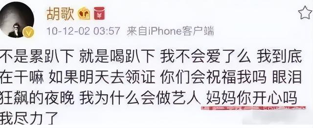 胡歌为啥和薛佳凝分手（恋爱4年分手13年后）(19)