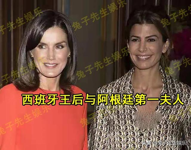 西班牙王储个人资料（西班牙国王身高2米）(7)