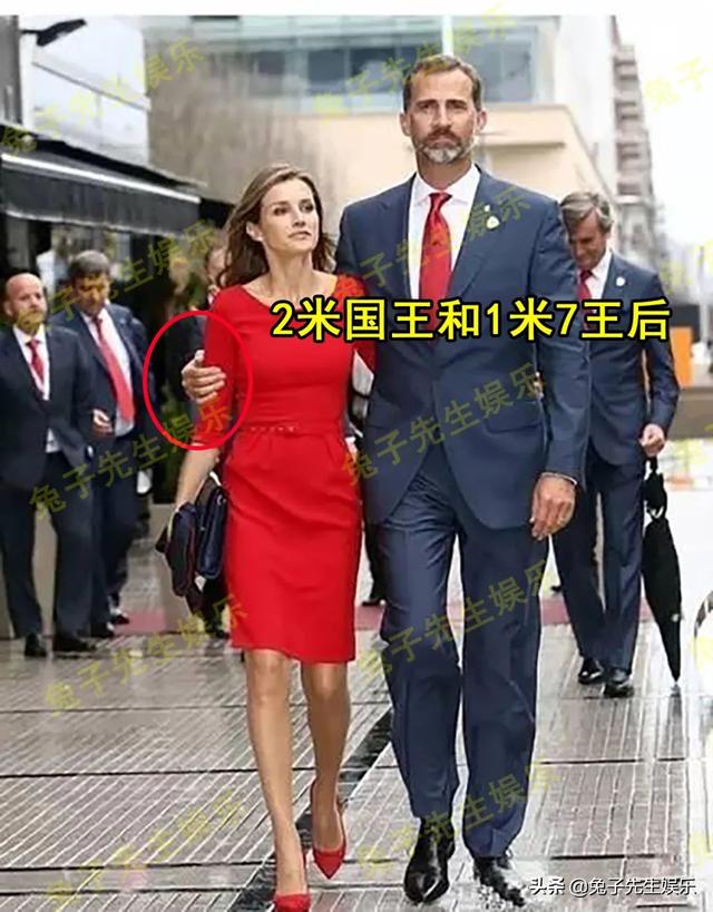 西班牙王储个人资料（西班牙国王身高2米）(2)