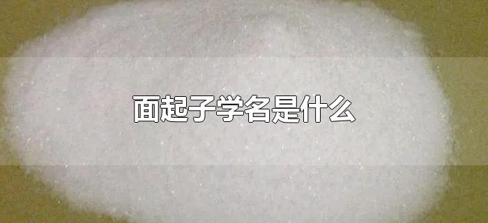面起子学名是什么