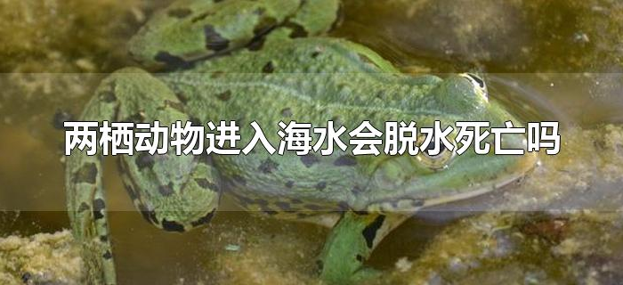 两栖动物进入海水会脱水死亡吗