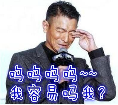 杨丽娟追星刘德华事件隐私权（杨丽娟因追星痴迷）(18)