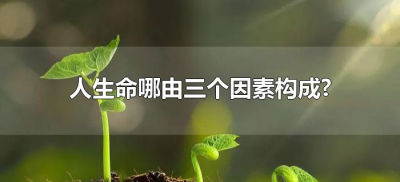 ​人生命哪由三个因素构成?（人的生命有三个因素）