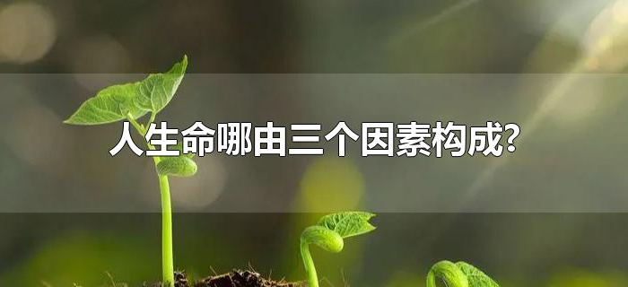 人生命哪由三个因素构成?