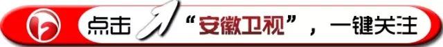 林心如霍建华同台完整版（林心如霍建华热恋持续引爆）(1)