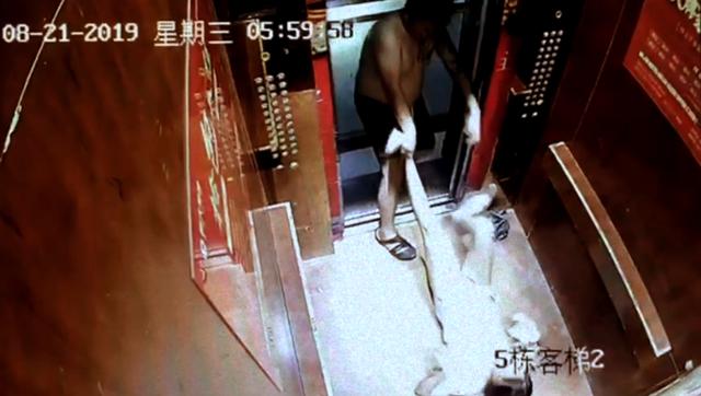直播网红被男友家暴（男友电梯内家暴女网红）(16)