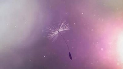 ​情人节经典短句，文案短句干净暖心