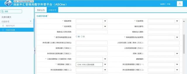 个人外汇业务办理流程（通过网上办理的方式办理有关外汇业务）(8)