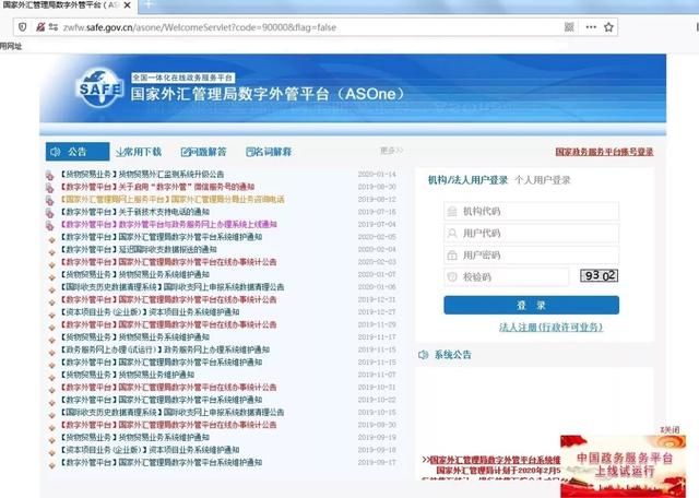 个人外汇业务办理流程（通过网上办理的方式办理有关外汇业务）(2)