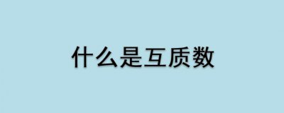 ​什么是互质（互质的简介）