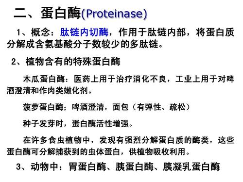 蛋白酶作用（蛋白酶的主要作用是什么）
