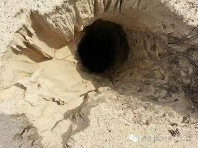 宇宙中最大的十大黑洞（地球上6个不可思议的神秘大洞）(2)