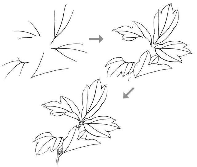 工笔画牡丹入门（零基础工笔画教程）(8)