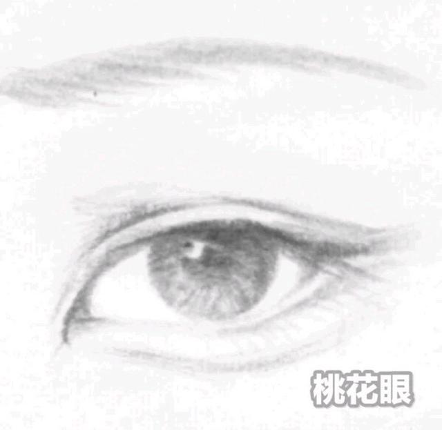 公认好看的五种眼型（东方经典的美人眼型）(2)