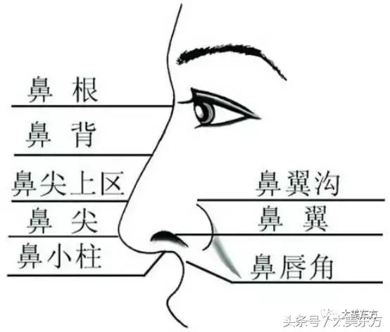 于朦胧整容史（堪称仙美的三生三世四哥于朦胧曾被孤立）(21)
