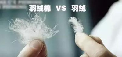 ​羽绒棉和羽绒棉有何区别（这么多年冬天白过了）