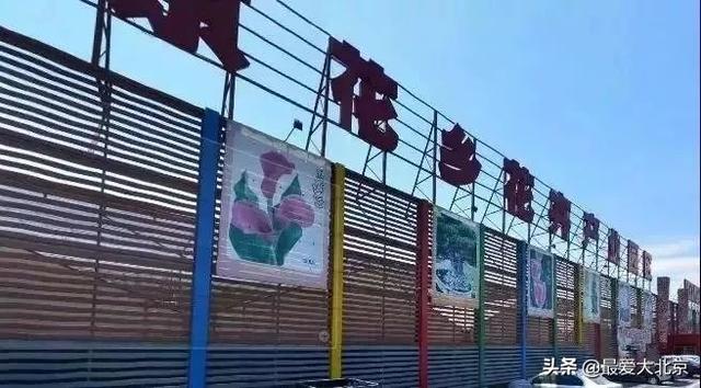 关于花乡（再见花乡）(21)