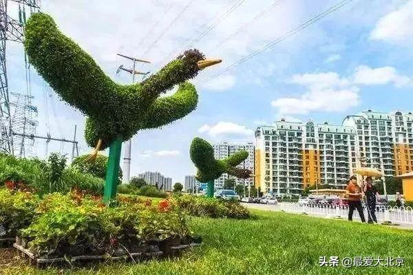 关于花乡（再见花乡）(31)